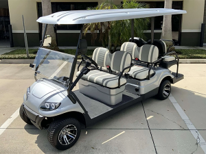 lithium battery services, golf cart lithium battery, battery upgrade